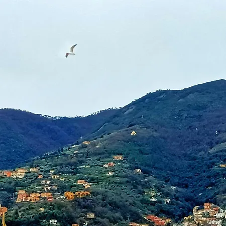 Apartamento View! Panoramic Overlooking La Spezia
