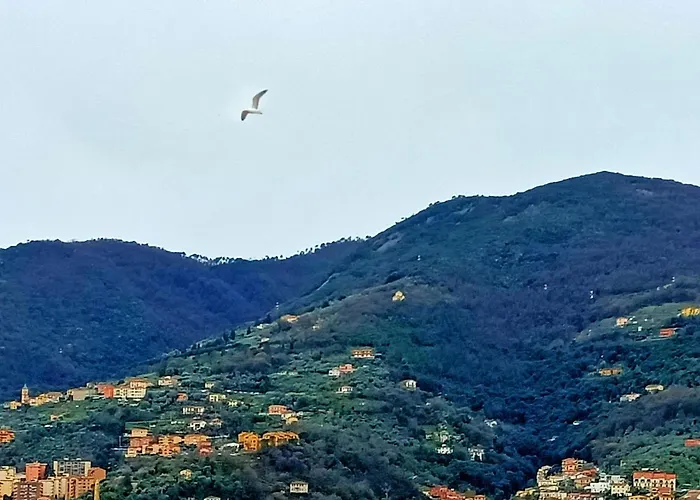 Apartment View! Panoramic Overlooking La Spezia