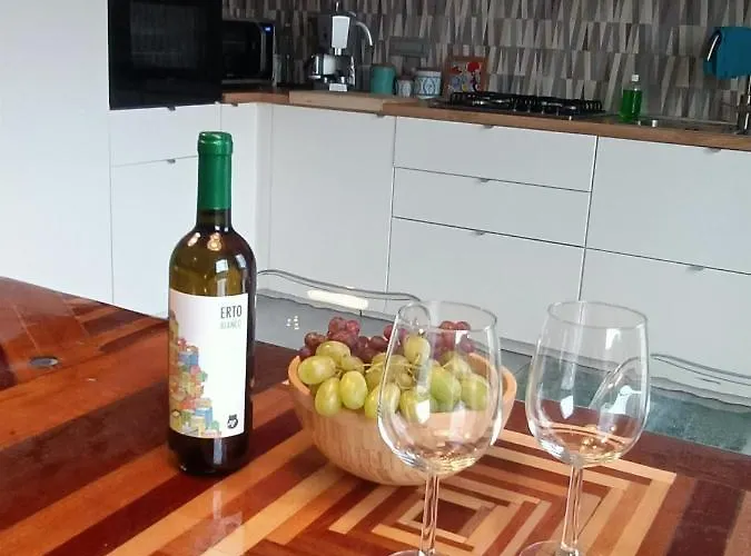 View! Panoramic Overlooking Apartment La Spezia